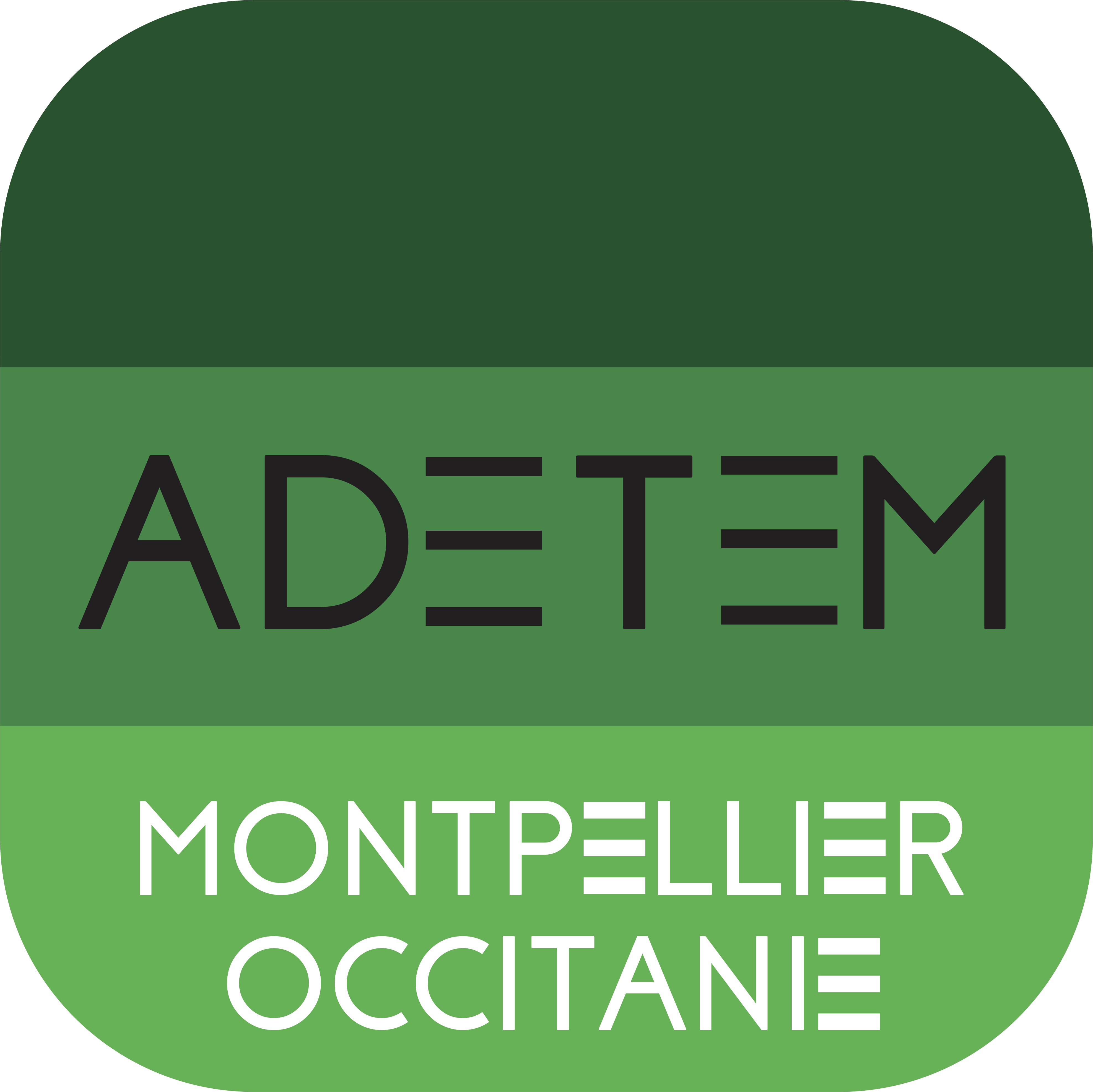 logo Adetem