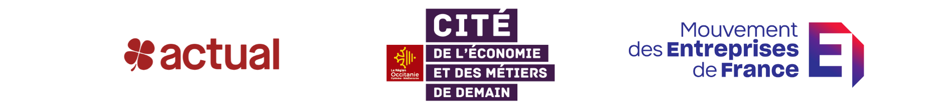 logo cemd