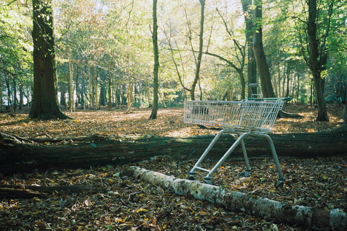 nature chariot