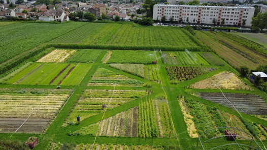 jardin